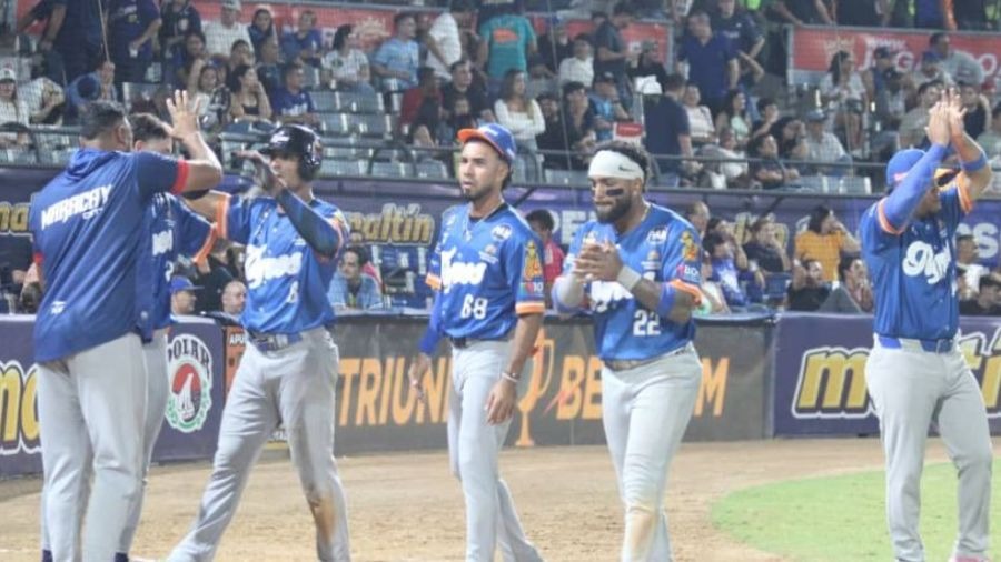 tigres